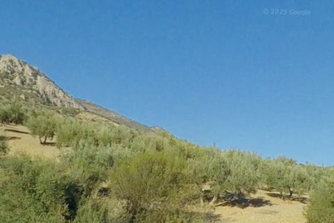 Finca i Mondron, Malaga, Mondron - € 26.000 | Ref: ID4388 - foto 1